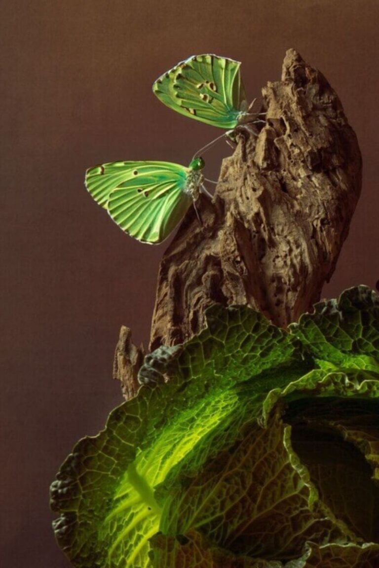 Фото студентки Натальи Волковой